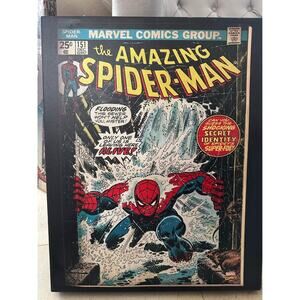 Amazing Spider-Man Canvas          16” x20”“Collectible